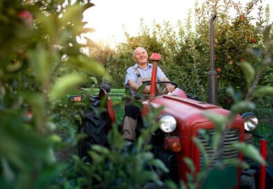 Аграрії цьогоріч отримають компенсацію за купівлю української техніки: уряд виділив 1,8 млрд грн Аграрії цьогоріч отримають компенсацію за купівлю української техніки: уряд виділив 1,8 млрд грн