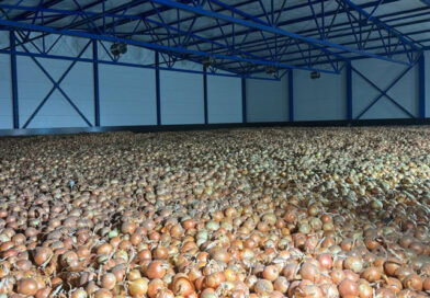 В Україні бракує овочесховищ для 1 млн т урожаю