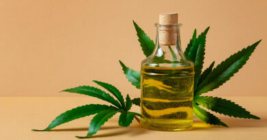 стратегічна культура