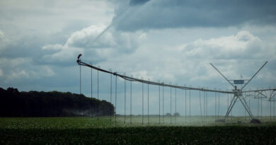 10 агропідприємств отримали 34 млн грн на відновлення зрошення