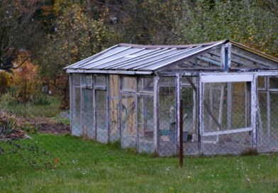 Прилипачі для агробізнесу: як підвищити ефективність ЗЗР