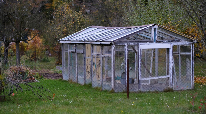 Прилипачі для агробізнесу: як підвищити ефективність ЗЗР