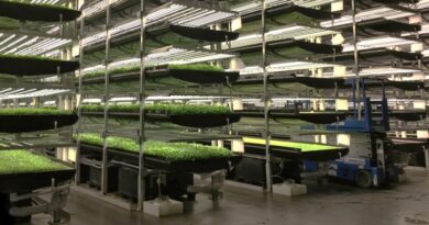 В Україні з’явилась Асоціація вертикального фермерства