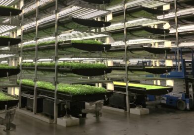 В Україні з’явилась Асоціація вертикального фермерства