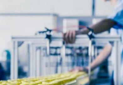 До 8 млн грн на розвиток: стартує нова хвиля грантових заявок для переробників