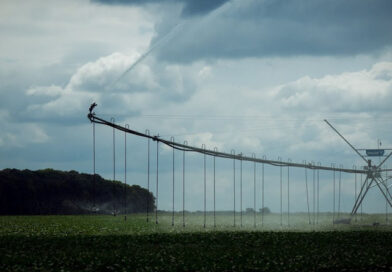 Уряд суттєво підвищив відшкодування для аграріїв на меліорованих землях прифронтової зони