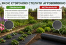 Якою стороною правильно стелити агроволокно Якою стороною правильно стелити агроволокно