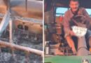 Росіяни вдарили по комбайну фонду «Жнива Перемоги»: комбайнер вижив, а техніку відновлять Росіяни вдарили по комбайну фонду «Жнива Перемоги»: комбайнер вижив, а техніку відновлять
