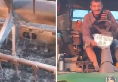 Росіяни вдарили по комбайну фонду «Жнива Перемоги»: комбайнер вижив, а техніку відновлять Росіяни вдарили по комбайну фонду «Жнива Перемоги»: комбайнер вижив, а техніку відновлять