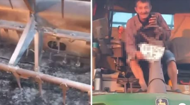 Росіяни вдарили по комбайну фонду «Жнива Перемоги»: комбайнер вижив, а техніку відновлять Росіяни вдарили по комбайну фонду «Жнива Перемоги»: комбайнер вижив, а техніку відновлять