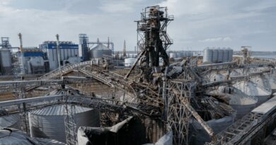Україна втратила третину потужностей для перевалки зерна у портах через російські атаки Україна втратила третину потужностей для перевалки зерна у портах через російські атаки