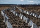 “Оборона та інтереси фермерів”: як Рада планує компенсувати використання земель під фортифікації